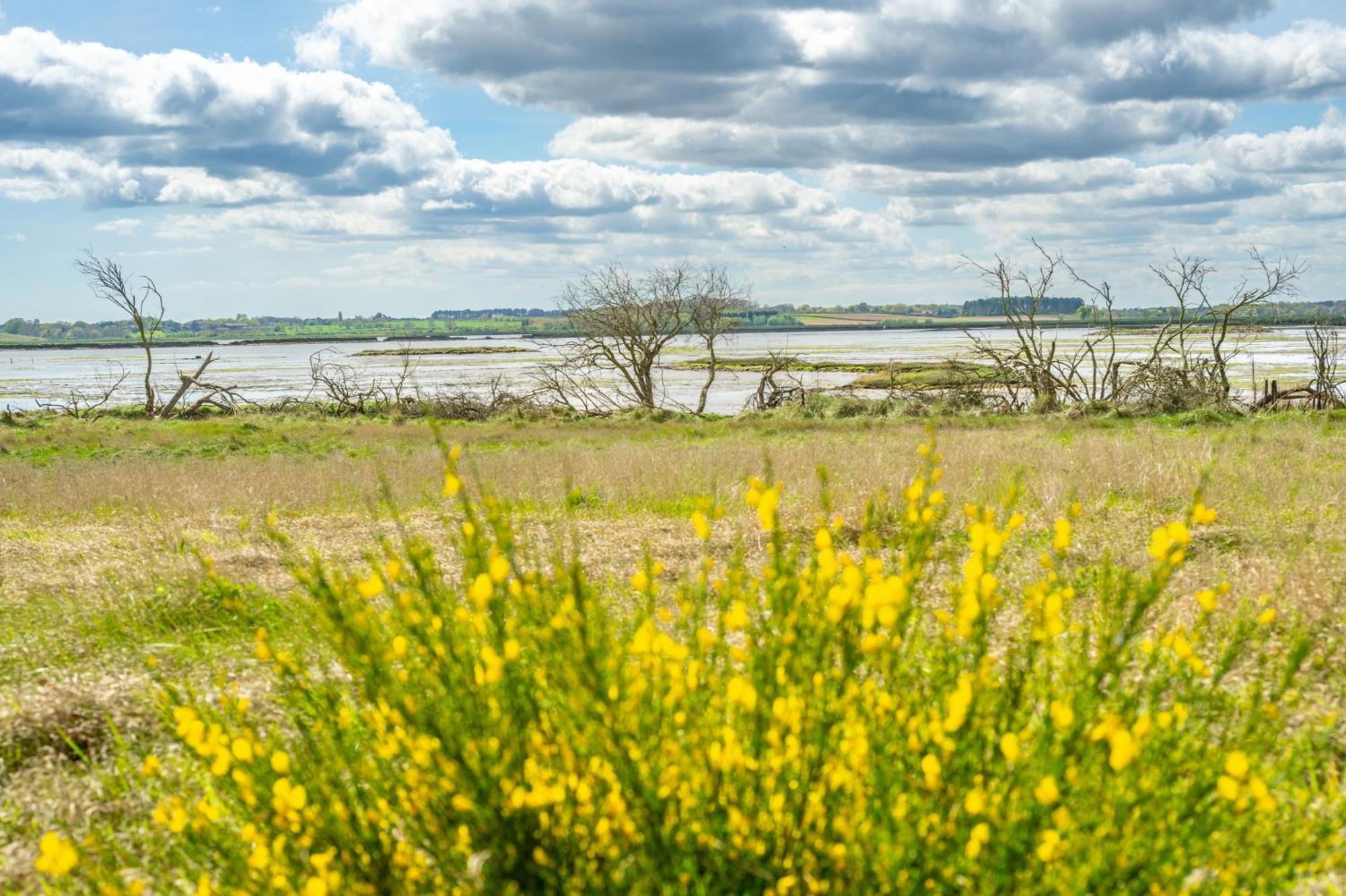 Marsh View Villa Алдебург Екстериор снимка